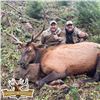 Image 4 : Oregon 6-Day Roosevelt Elk Hunt for 1 hunter