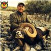 Image 3 : Spain 4-Day Iberian Mouflon Sheep Hunt for One Hunter