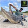 Image 2 : Two Day Trophy Alligator Hunt for 1 Hunter