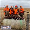 Image 1 : Two Day Pheasant Hunt for 2 in South Dakota
