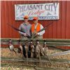 Image 2 : Two Day Pheasant Hunt for 2 in South Dakota