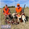 Image 3 : Two Day Pheasant Hunt for 2 in South Dakota
