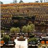 Image 2 : 3-Night Stay for 2 at Meritage Resort and Spa in Napa Valley