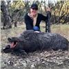 Image 1 : Three Day Texas Wild Boar Hunt for 4 Hunters