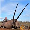 Image 1 : South Africa Seven-Day Hunt for Two Hunters- $1,500 Trophy Credit Per Hunter!