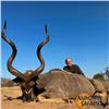 Image 3 : South Africa Seven-Day Hunt for Two Hunters- $1,500 Trophy Credit Per Hunter!