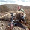 Image 1 : Alaska Archery Brown Bear Special Permit GMU 14C Eklutna Lake Management Area (SB468)