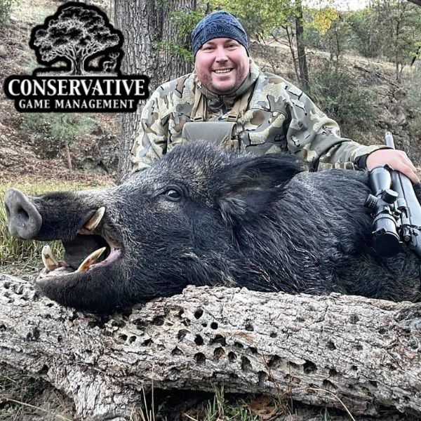 California Wild Pig Hunt for 2 Hunters