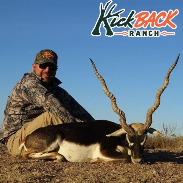 Three Day Blackbuck Antelope Hunt in Texas for 1 Hunter and 1 Observer