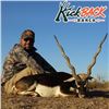 Image 1 : Three Day Blackbuck Antelope Hunt in Texas for 1 Hunter and 1 Observer