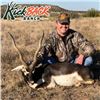 Image 3 : Three Day Blackbuck Antelope Hunt in Texas for 1 Hunter and 1 Observer