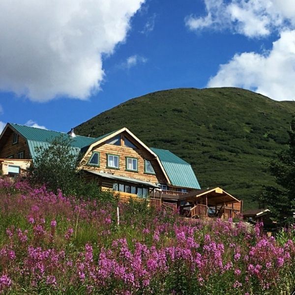 One Week Lodging at Alpine Creek Lodge Alaska- DIY Spring Bear Hunt for Two Hunters