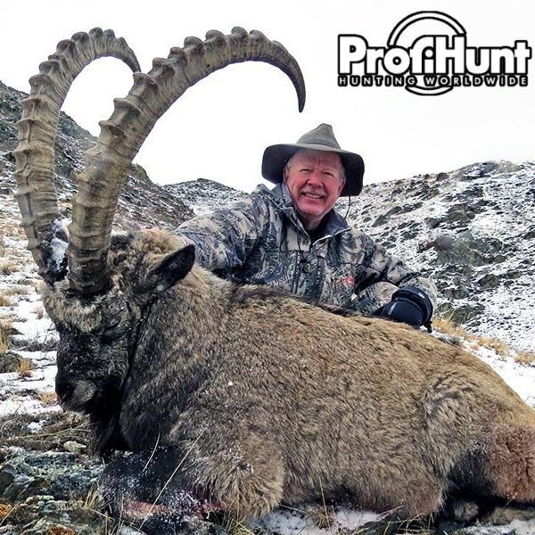 Five Day Sayan Ibex Hunt in Abakan, Russia for 1 Hunter