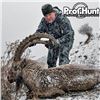 Image 3 : Five Day Sayan Ibex Hunt in Abakan, Russia for 1 Hunter