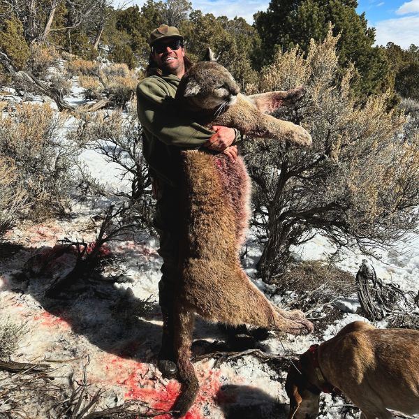 Colorado or Wyoming 5-Day Guided Mountain Lion Hunt