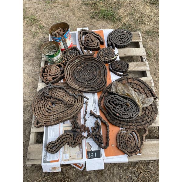 Assorted roller chain