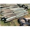 Image 2 : 7ft Fence posts