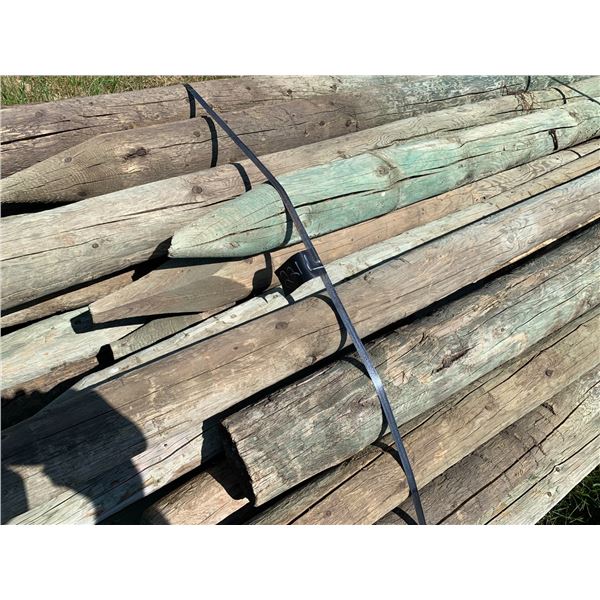 Variety pack Fence posts