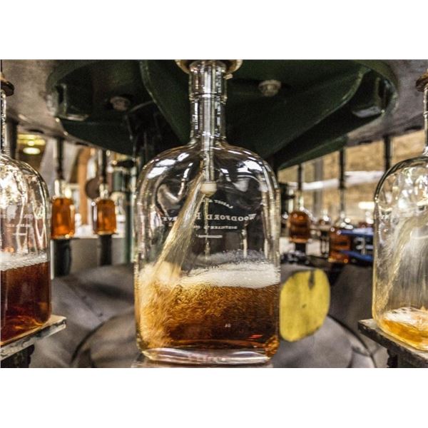 Kentucky Bourbon Experience for 2