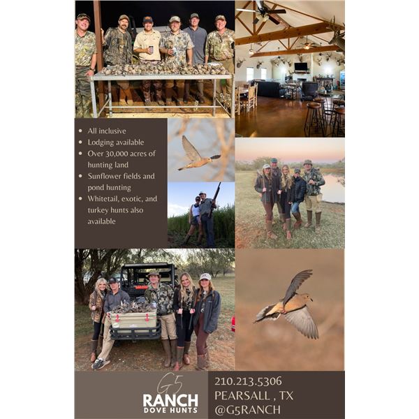 Texas Dove Hunt