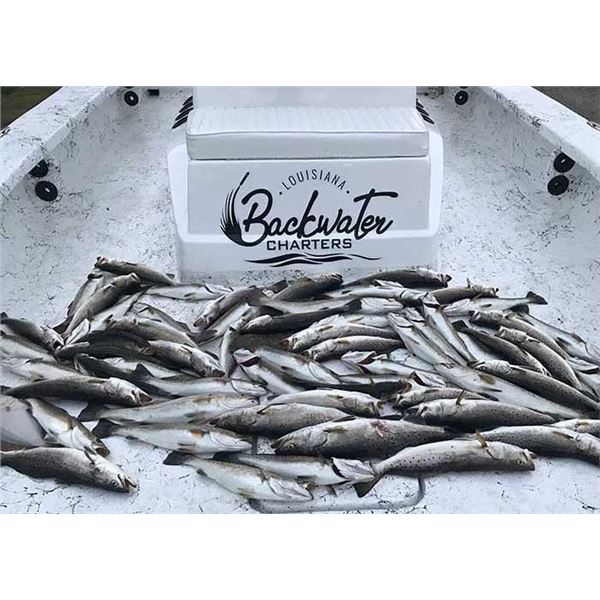 Big Lake Guided Fishing Trip