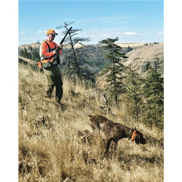 Cast and Blast in Idaho