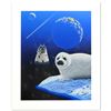 Image 1 : Our Home Too IV (Seals) by Schimmel, William