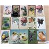 Image 2 : Butterfly - Insects Greeting Postcards 65+