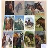 Image 1 : Animal - Horses 32 Postcards