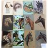 Image 2 : Animal - Horses 32 Postcards