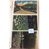 Image 1 : Delaware Water Gap, Pennsylvania Album 350+ Postcards