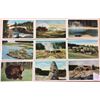 Image 3 : Yellowstone National Park & Box Postcards 50