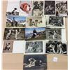 Image 1 : St. Bernard Dog Postcards 15