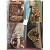 Image 8 : American Indian Album Approx. 325 Postcards
