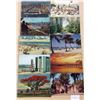 Image 2 : Florida 600+ Postcards