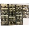 Image 1 : Photo Stereoviews 200+