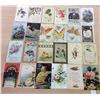 Image 2 : Greetings & Holidays Postcards with Insects Approx. 175