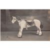 Image 1 : Real Photo Toy Horse Postcard