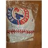 Image 6 : Baseball Gloves, Andrew Jones Figurine, Expos Inflatable Ball