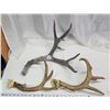 Image 2 : 3 various deer sheds - diff sizes