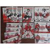 Image 2 : 36 "In the Game" hockey cards - includes "Team Canada" cards