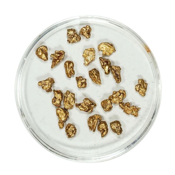 Gold Nuggets 3.81 Grams Total Weight