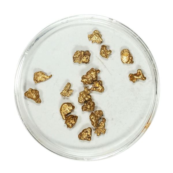 Gold Nuggets 2.79 Grams Total Weight