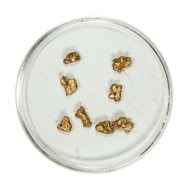 Gold Nuggets 1.57 Grams Total Weight