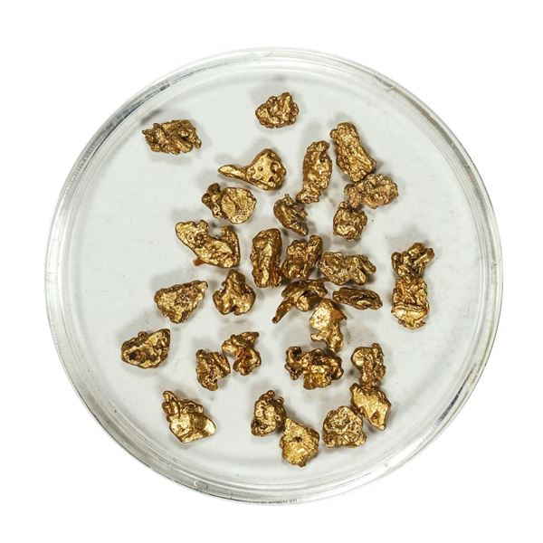 Gold Nuggets 4.65 Grams Total Weight
