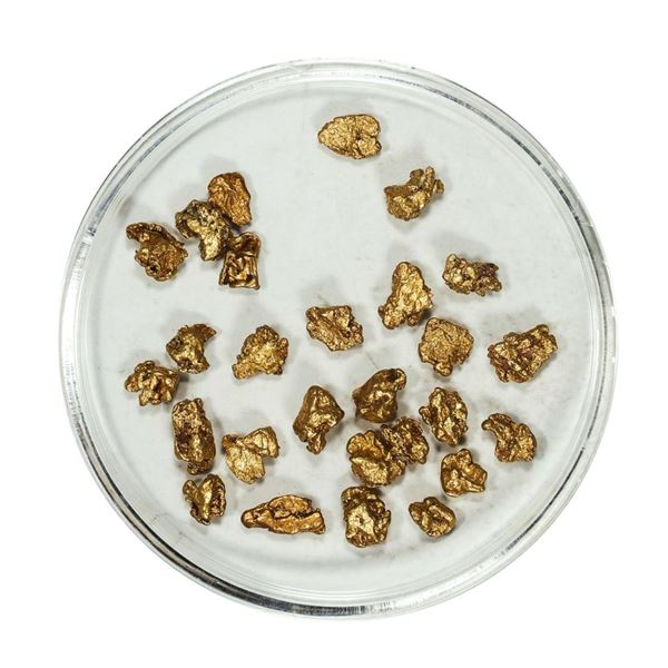Gold Nuggets 4.21 Grams Total Weight