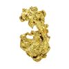 Image 2 : 22.03 Gram Gold Nugget