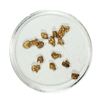 Image 1 : Gold Nuggets 1.95 Grams Total Weight