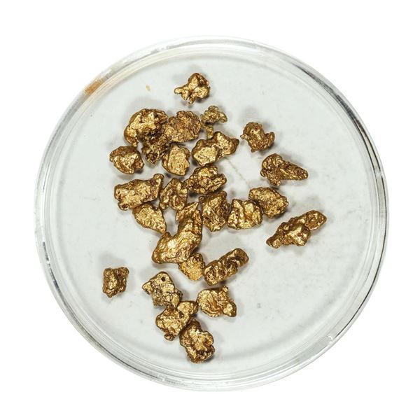 Gold Nuggets 4.66 Grams Total Weight