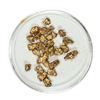 Image 1 : Gold Nuggets 4.66 Grams Total Weight